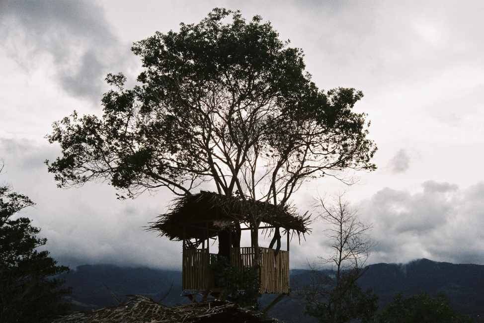 Treehouse at dane (Pic: Sony Kusumo)