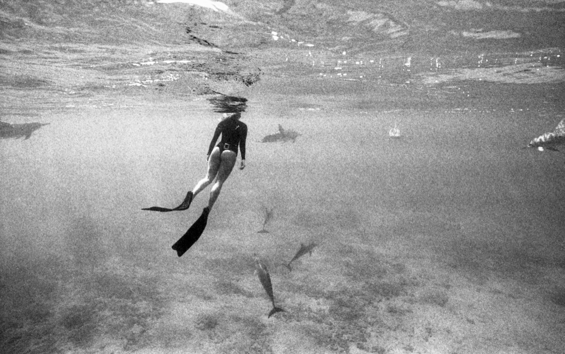 Woman diving with dolphins (Pic: Katharine Kollman)