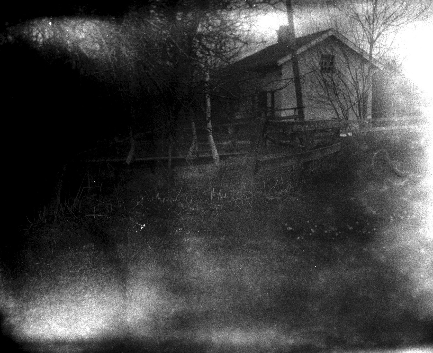 Cottage snd trees with light leaks (Pic: Tobias Eriksson)